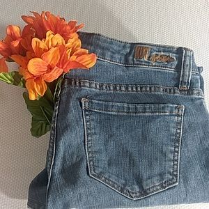 Kut by the kloth size 4 straight leg